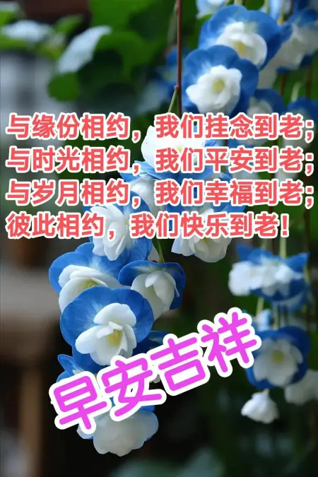 问候语早上好，早上好！带着爱和笑容去迎接今天的一切
